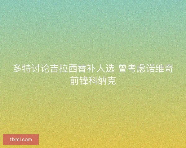 多特讨论吉拉西替补人选 曾考虑诺维奇前锋科纳克