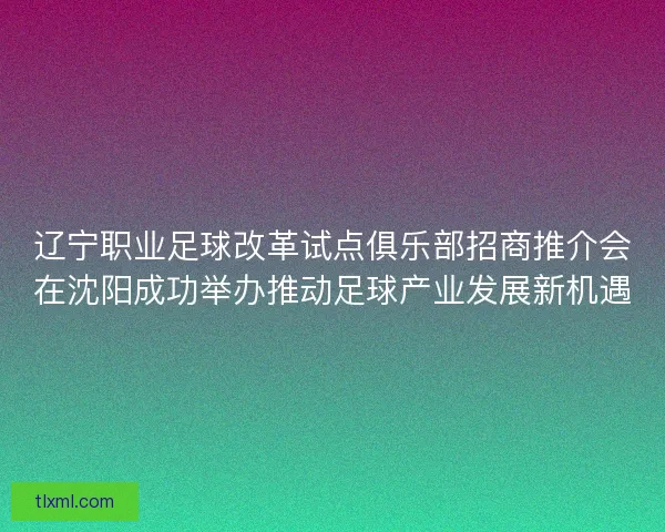 辽宁职业足球改革试点俱乐部招商推介会在沈阳成功举办推动足球产业发展新机遇 辽宁职业足球改革试点俱乐部招商推介会在沈阳成功举办推动足球产业发展新机遇